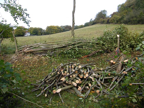 Same view as left, laid with live              stake retained at left of hazel stool to retain next              section of hedge. Firewood foreground from surplus hazel.