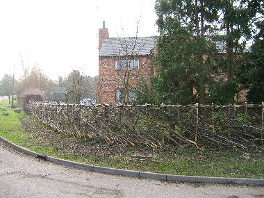 Completed hedge