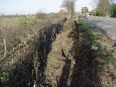 Laying completed.  Large elder stumps laying on the verge have been pulled out by JCB.
