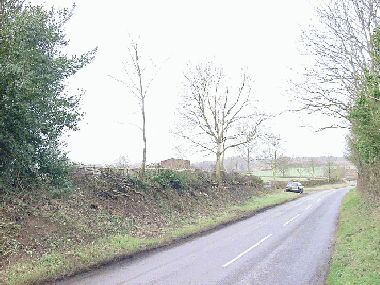 General view of completed hedge