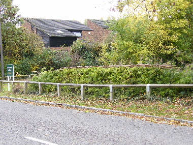 Completed hedge, as a South of England hedge, it's bushy both sides.