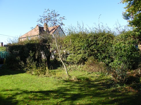 View from garden before laying
